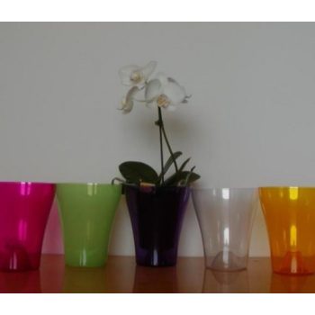 Orchidea kaspó 14 cm.