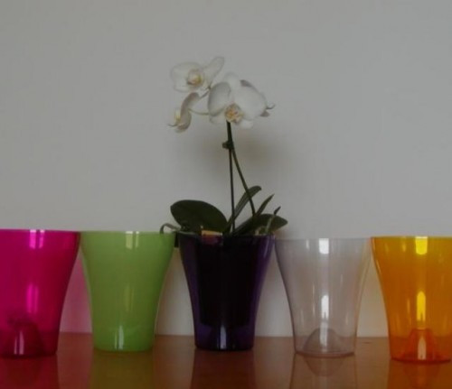 Orchidea kaspó 14 cm.